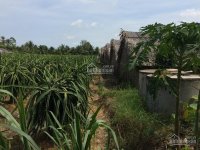 sang nhượng cho thuê đất mặt bằng tại tiền giang giáp ranh long an