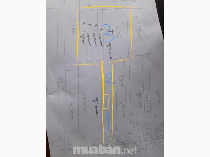 Bán vườn sầu riêng Ri 6, mít Thái, có nhà, thổ cư
