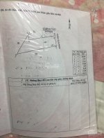 chính chủ bán đất mặt tiền quốc lộ 50 xã tân trung thị xã gò công tiền giang