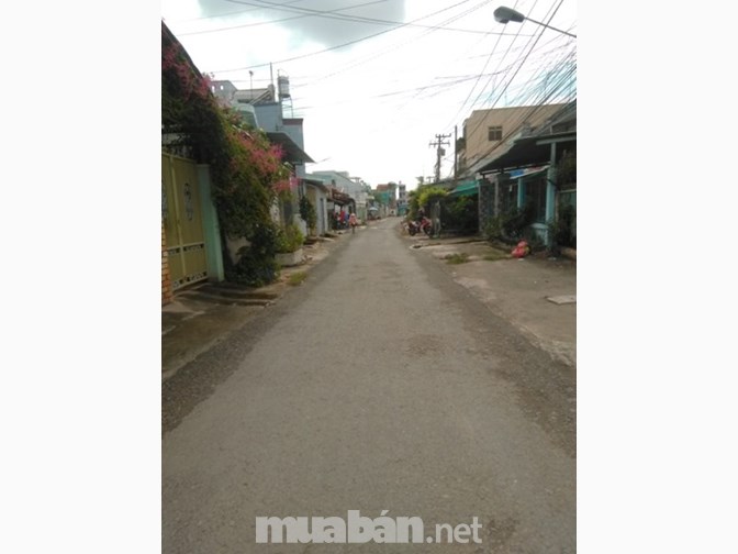 Bán 700m2 Đất Khu Phố 2 Phường 9. Đường 5m2