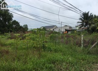 Bán 1000m2 đất hẻm xe hơi ấp 1 Đạo Thạnh,Mỹ Tho Bán 1000m2 đất hẻm xe hơi ấp 1 Đạo Thạnh,Mỹ Tho