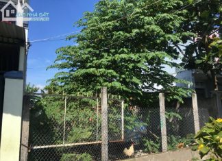 Bán 219m2 đất vườn hẻm xe hơi ở Lý Thường Kiệt,phuong 5 Mỹ Tho Bán 219m2 đất vườn hẻm xe hơi ở Lý Thường Kiệt,phuong 5 Mỹ Tho