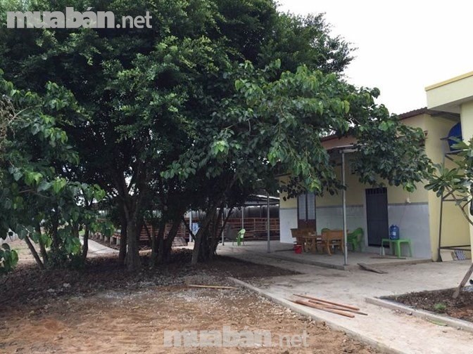 Cần bán nhà vườn trang trại tại xã Phước Trung, Gò Công Đông