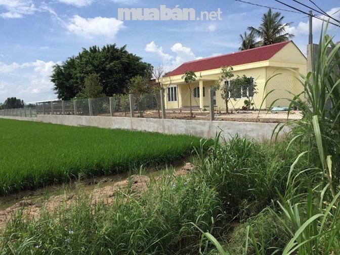 Cần bán nhà vườn trang trại tại xã Phước Trung, Gò Công Đông