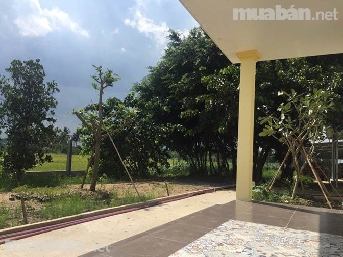 Cần bán nhà vườn trang trại tại xã Phước Trung, Gò Công Đông