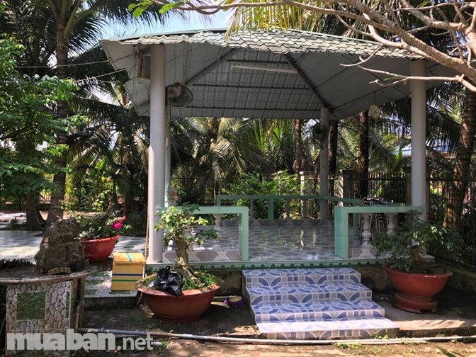 Bán nhà đất huyện Châu Thành, Tiền Giang, 3180m2, nhà, vườn, hồ bơi