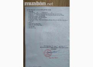 100% đất thổ cư, 5,5 x 18,6, giá 450tr 100% đất thổ cư, 5,5 x 18,6, giá 450tr