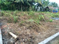 bán đất xã bình đức huyện châu thành tỉnh tiền giang liên hệ nhung 0385116271