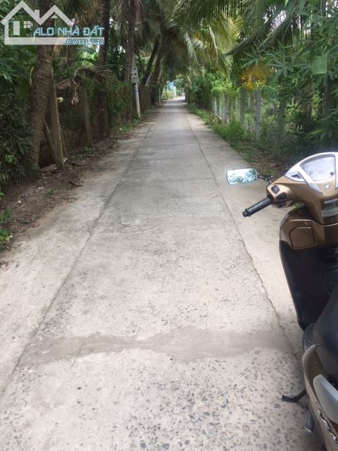 BÁN ĐẤT NỀN THÀNH PHỐ MỸ THO, LIÊN HỆ CHÍNH CHỦ: 0868631880 hoặc 0985147154 - 1