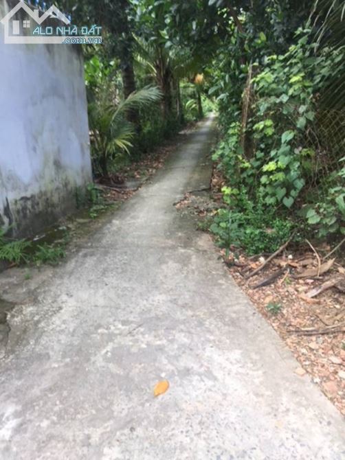 BÁN ĐẤT NỀN THÀNH PHỐ MỸ THO, LIÊN HỆ CHÍNH CHỦ: 0868631880 hoặc 0985147154 - 2
