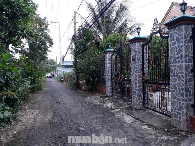 Bán 3 lô đất vườn tại Ấp 1, xã Đạo Thạnh, Mỹ Tho, tỉnh Tiền Giang
