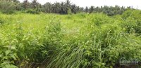 bán đất mỹ tho hẻm xe hơi tân mỹ chánh giá 250 triệu dt 112m2 lh 0763391915