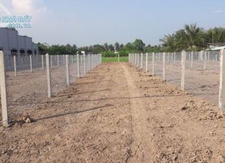 Bán Gấp Đất 5 X 38 Mặt Tiền Quốc Lộ 50 Gò Công Tây TG Bán Gấp Đất 5 X 38 Mặt Tiền Quốc Lộ 50 Gò Công Tây TG