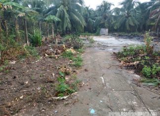 Đất 1500m2, Tân hương. Châu thành. Tiền giang Đất 1500m2, Tân hương. Châu thành. Tiền giang
