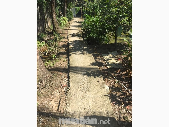 438m đất vườn ngay sau lưng bệnh viện đa khoa Tiền Giang sắp xây dựng.