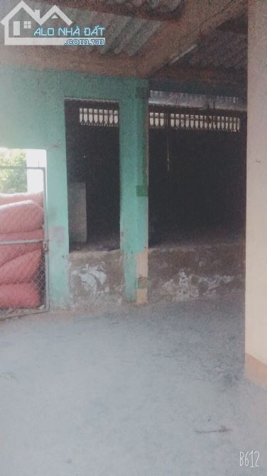 kẹt tiền bán nhà mặt tiền chợ Gò Lũy xã Nhị Bình - Gần QL1A - 188m2 thổ cư giá rẻ. - 3