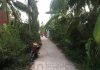 Mua bán Đất nông nghiệp 135 m2 tại Thành phố Mỹ Tho