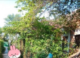 ĐBán đất thổ cư – Giá Tốt.. Ấp 2, xã Đạo Thạnh – tp Mỹ Tho – TG ĐBán đất thổ cư - Giá Tốt.. Ấp 2, xã Đạo Thạnh - tp Mỹ Tho - TG