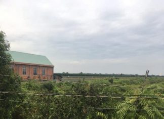 3,2hecta đường kênh3,Thạnh Tân,Tân Phước,Tiền Giang. Giá 180triệu/1.000m2