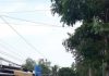 bán mảnh đất luôn  nhà cấp đường xe tải xã Thạnh Nhựt Gò công Tây, TG - 0