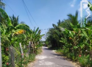 * Đất góc mặt tiền nhựa Ấp 2 Xã Đạo Thạnh, Mỹ Tho TG - 0