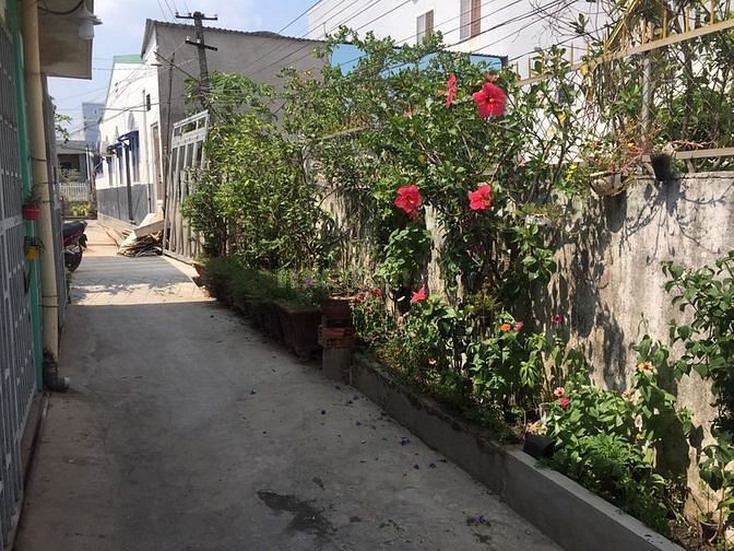 —–Nhà cấp 4, sau trường Chính trị—– —–Nhà cấp 4, sau trường Chính trị—–