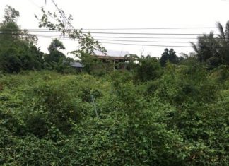 1,4công đất thị trấn Mỹ Phước,Tân Phước,Tiền Giang