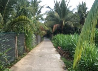 2công đất vườn ấp Long Thạnh,xã Long An,Châu Thành,Tiền Giang