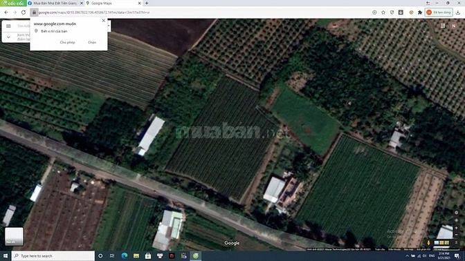 Đất chính chủ Ấp Mỹ Phú, xã Mỹ Phong, Tiền Giang Đất chính chủ Ấp Mỹ Phú, xã Mỹ Phong, Tiền Giang
